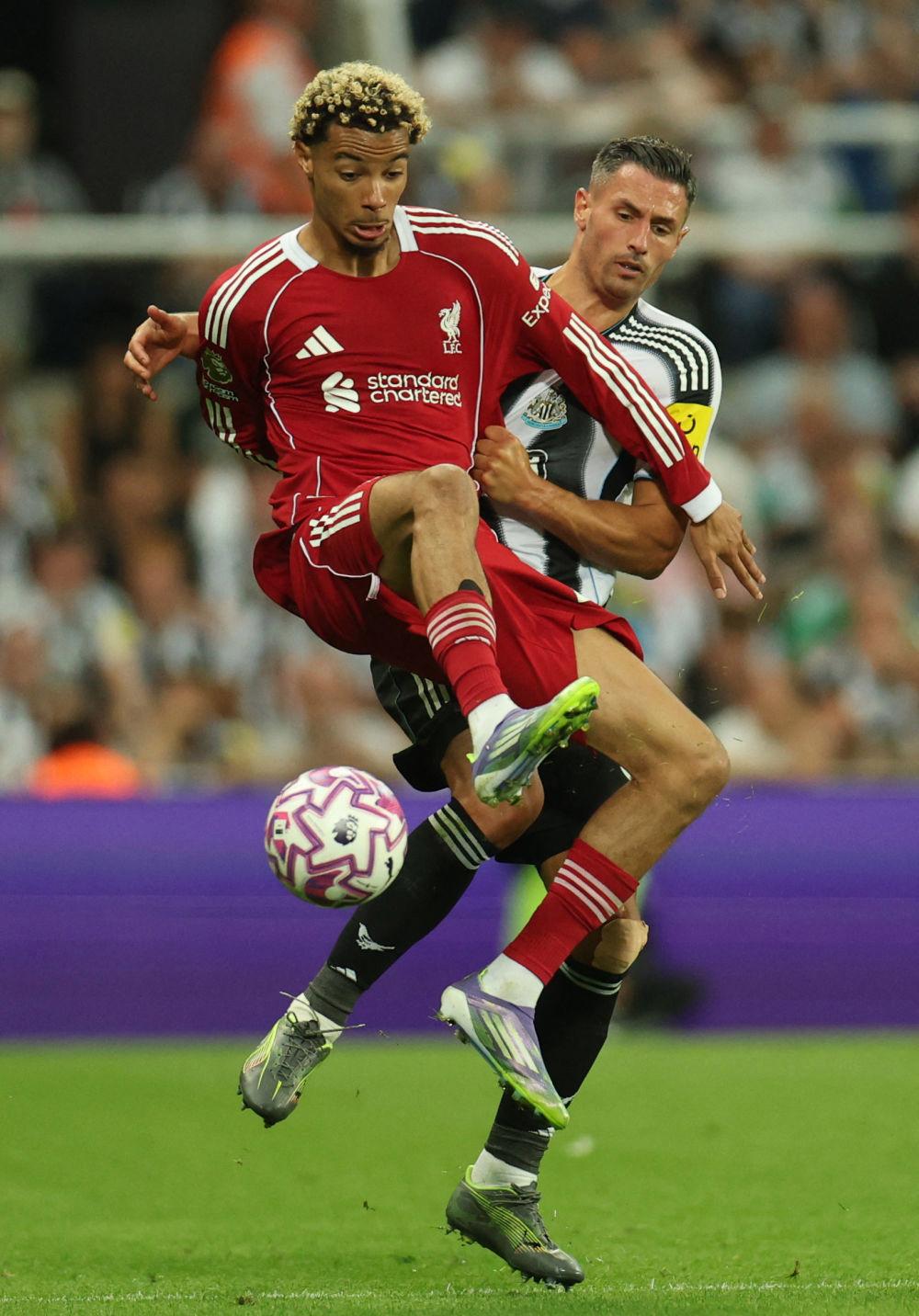 雷竞技-Ning关键节点赛况扑朔迷离，利物浦带队取胜！的简单介绍